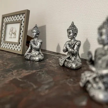 Apartment Cedici Ideal Couples Ou Famille - Moderne Pau